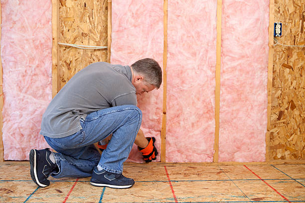 Best Specialty Insulation in Clearlake Riviera, CA