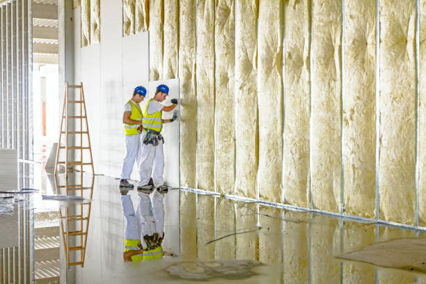 Best Insulation for Specific Applications in Clearlake Riviera, CA